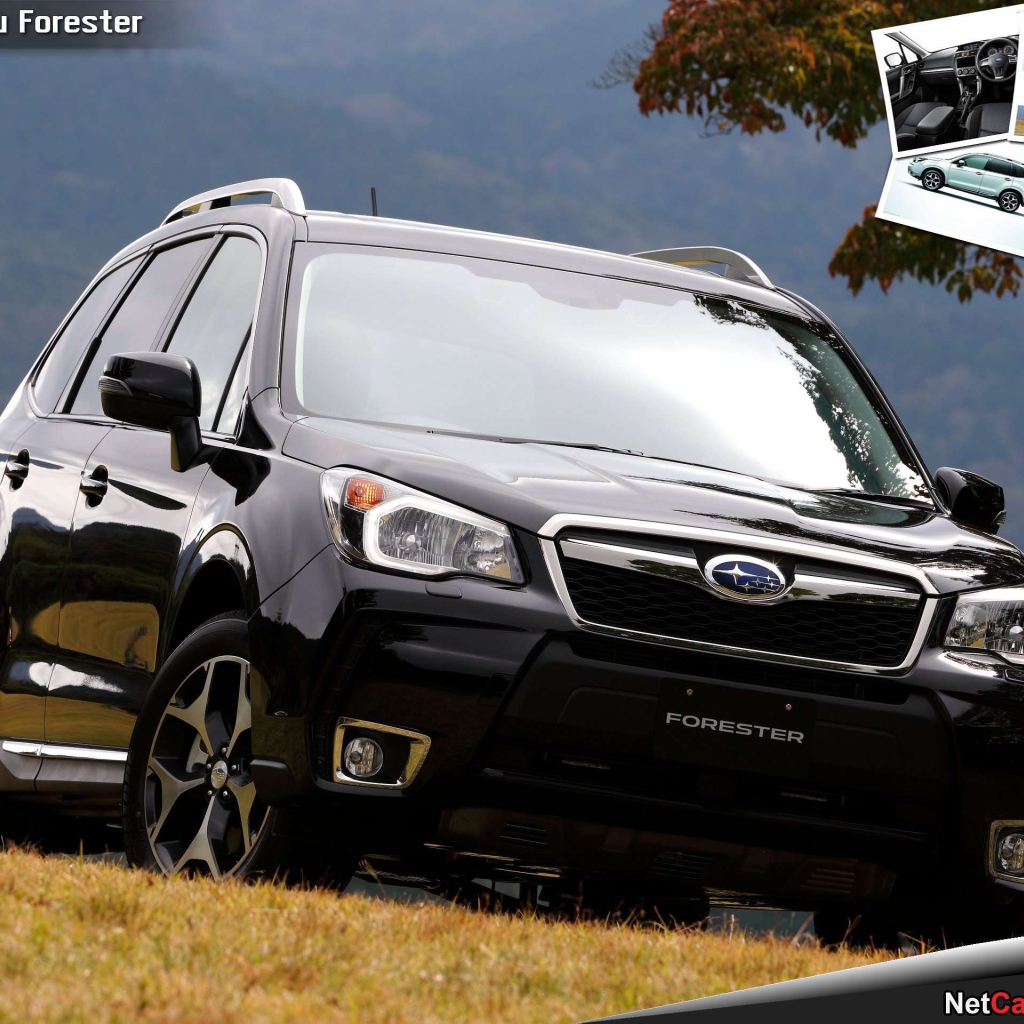 Фото автомобиля Subaru Forester 2013