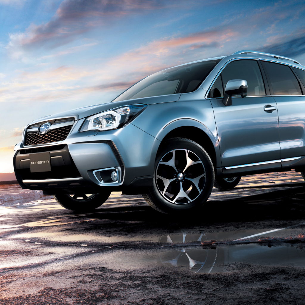 Test drive the car Subaru Forester 2013 