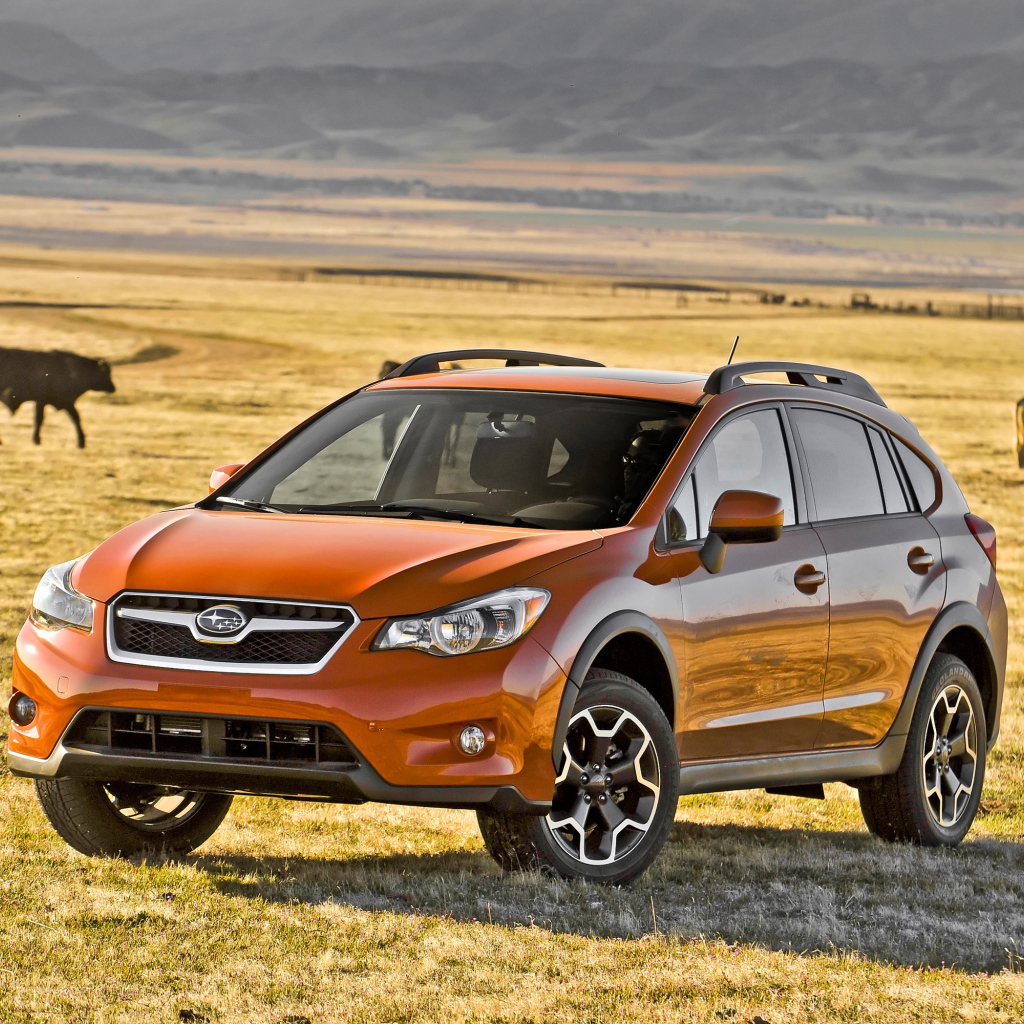 Тест драйв автомобиля Subaru XV