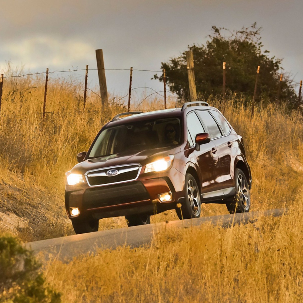 Новая машина Subaru Forester 2013