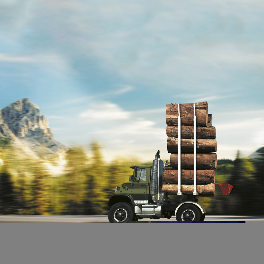 Автомобиль лесовоз