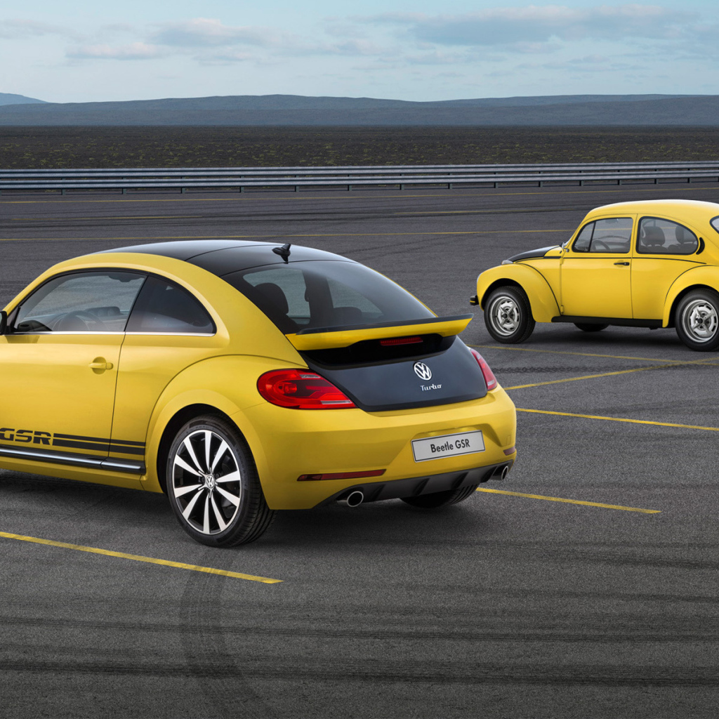 Надежная машина Volkswagen Beetle 2014