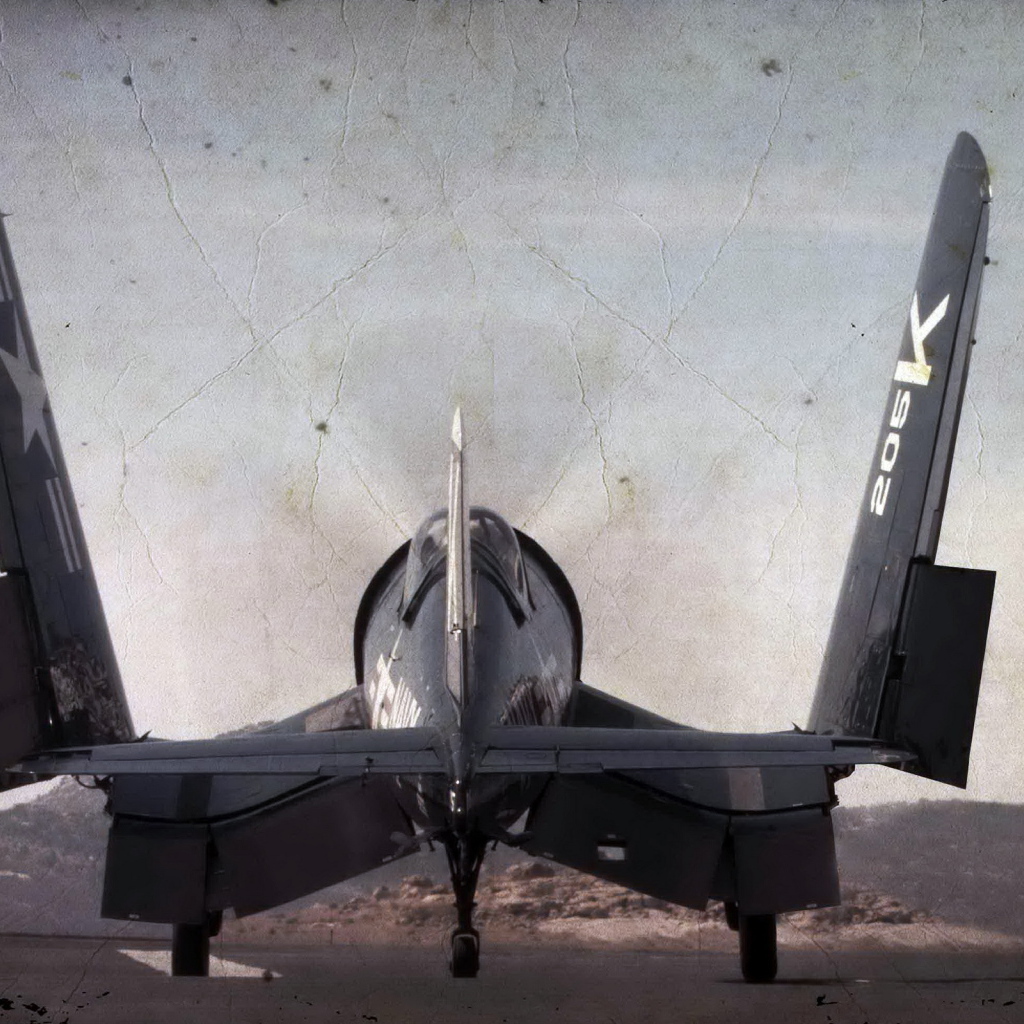 Самолет со складными крыльями