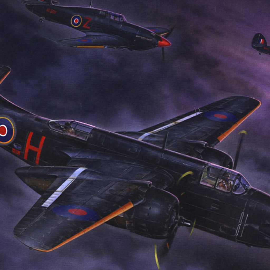 Ночные ястребы