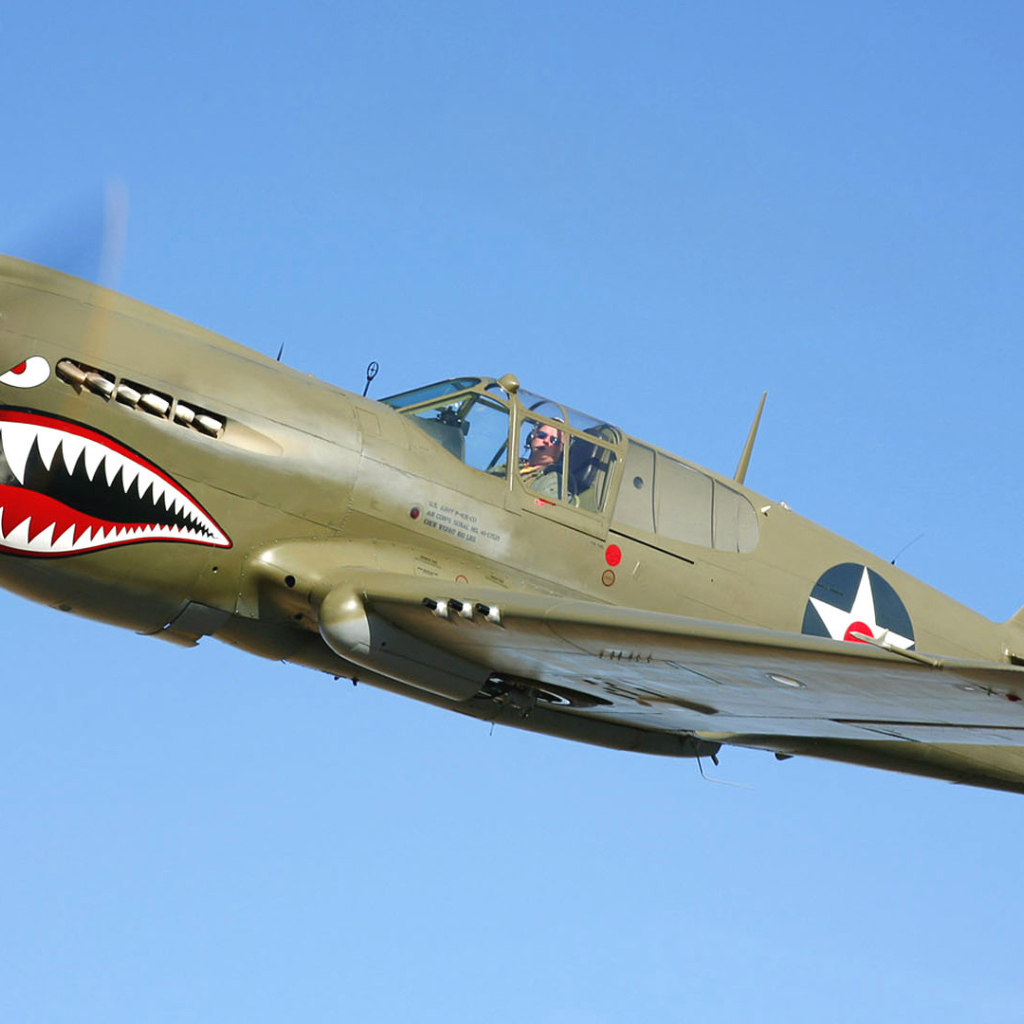 Самолет акула