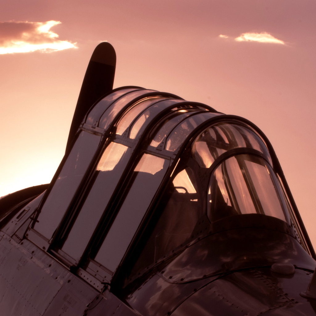 Кабина самолета