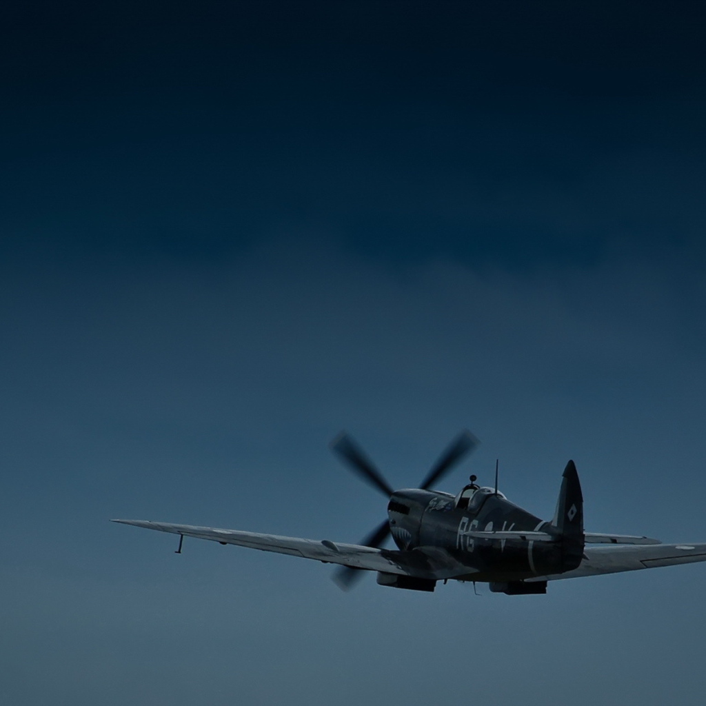 Самолет в ночном полете