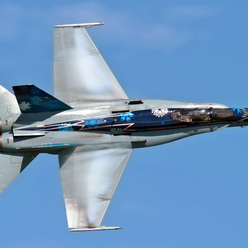 Самолет CF-18