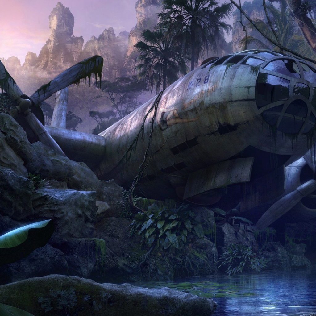 Самолет упал в джунгли