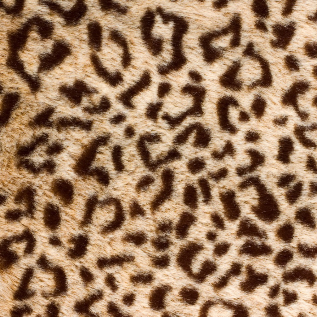 Банальный леопард