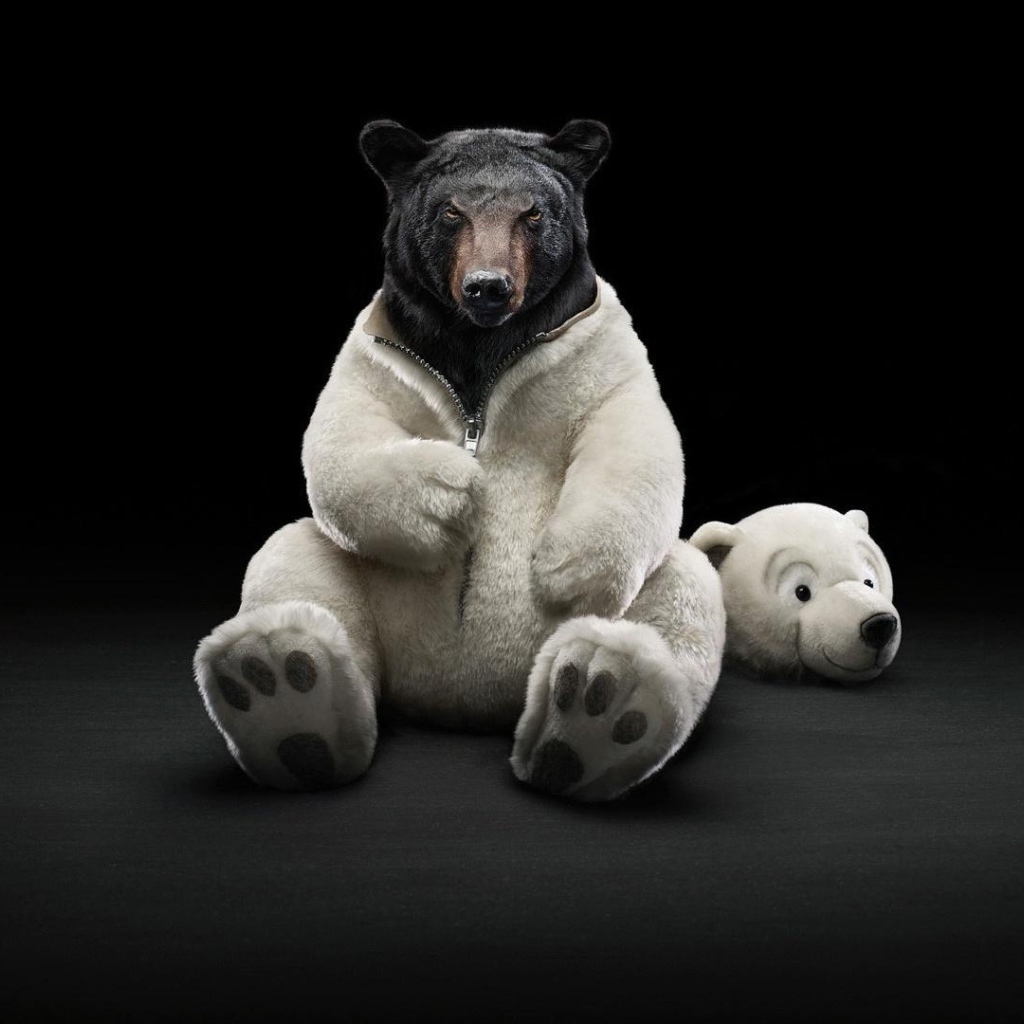 Черные обои с медведем