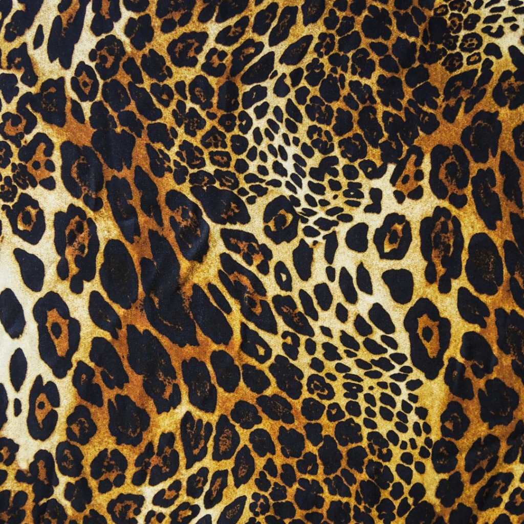 Яяркий леопард