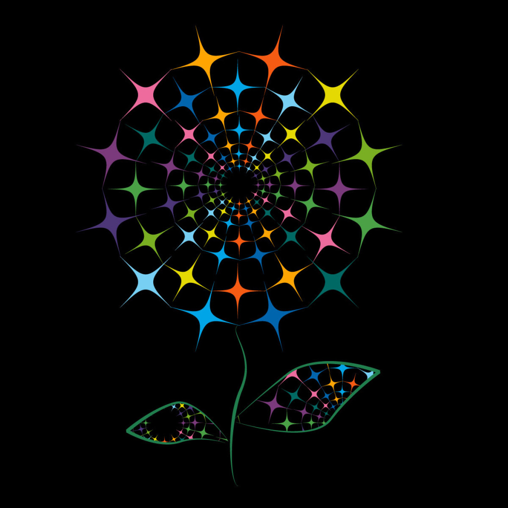 Красочный цветок на черных обоях