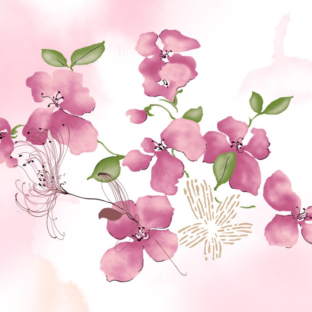 Розовые цветы на белом фоне