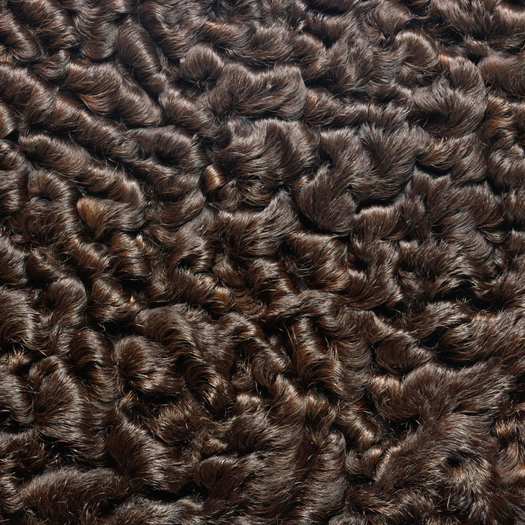 Мех каракуль