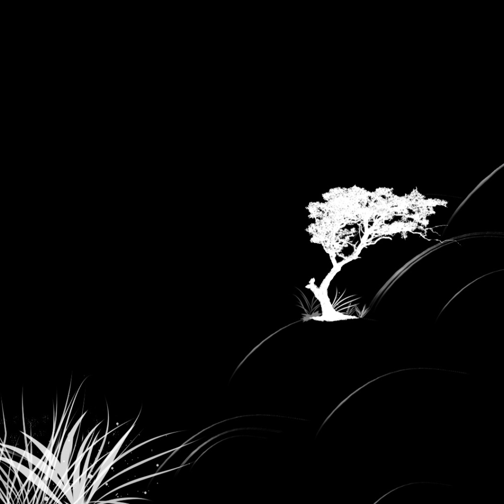 Растительность на черных обоях