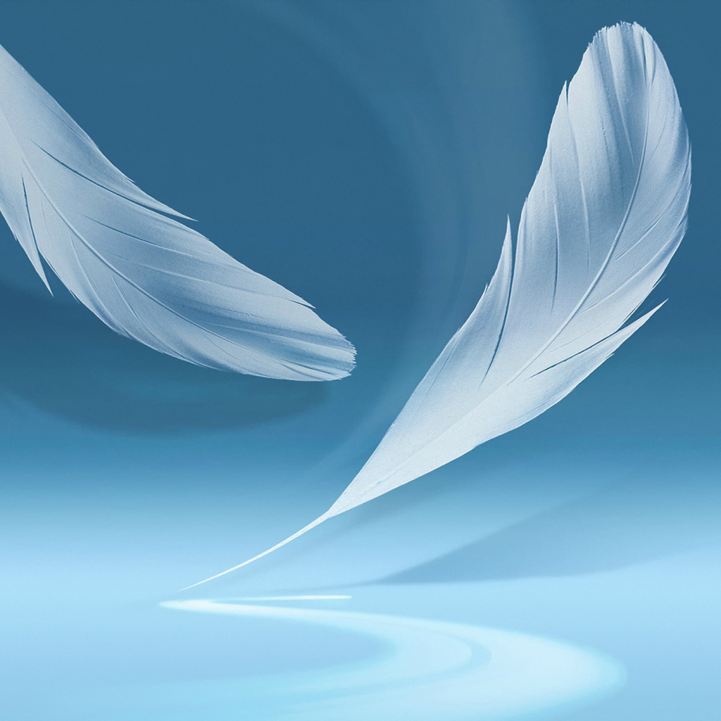 Голубой фон с перьями