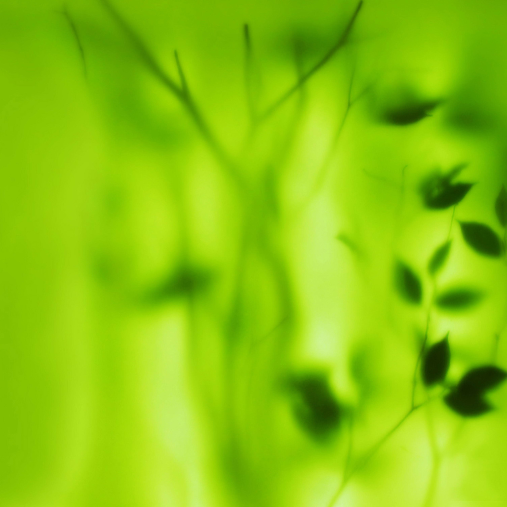 Растение за зеленым стеклом