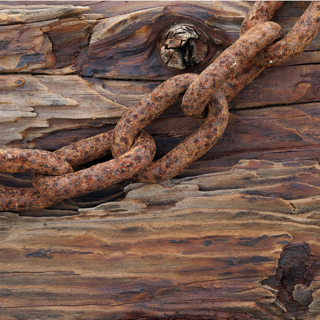 Ржавая цепь на старом дереве