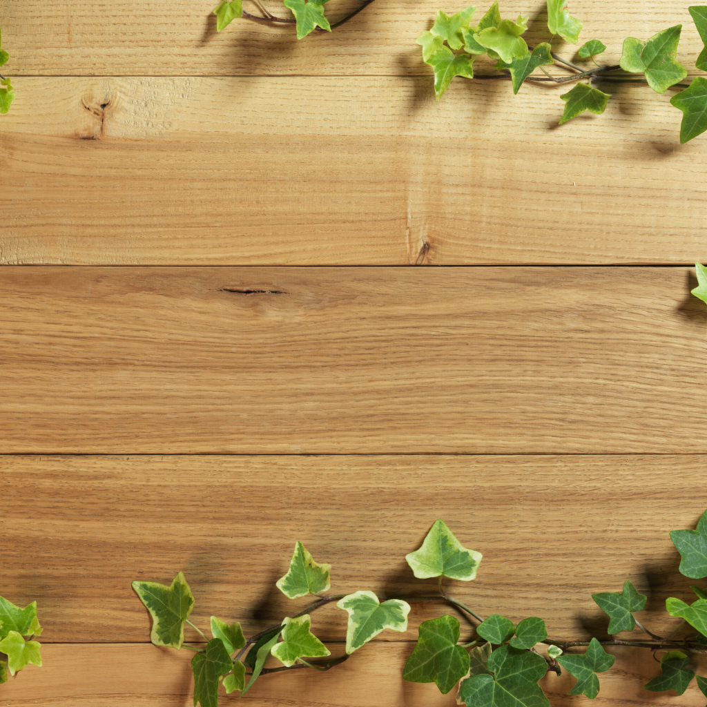 Плющ на деревянном полу