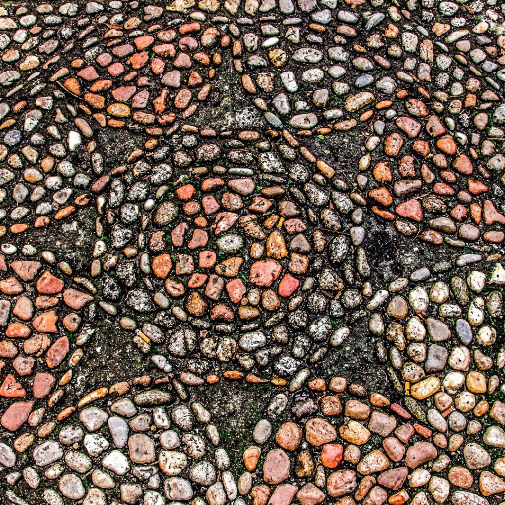 Узоры морского камня