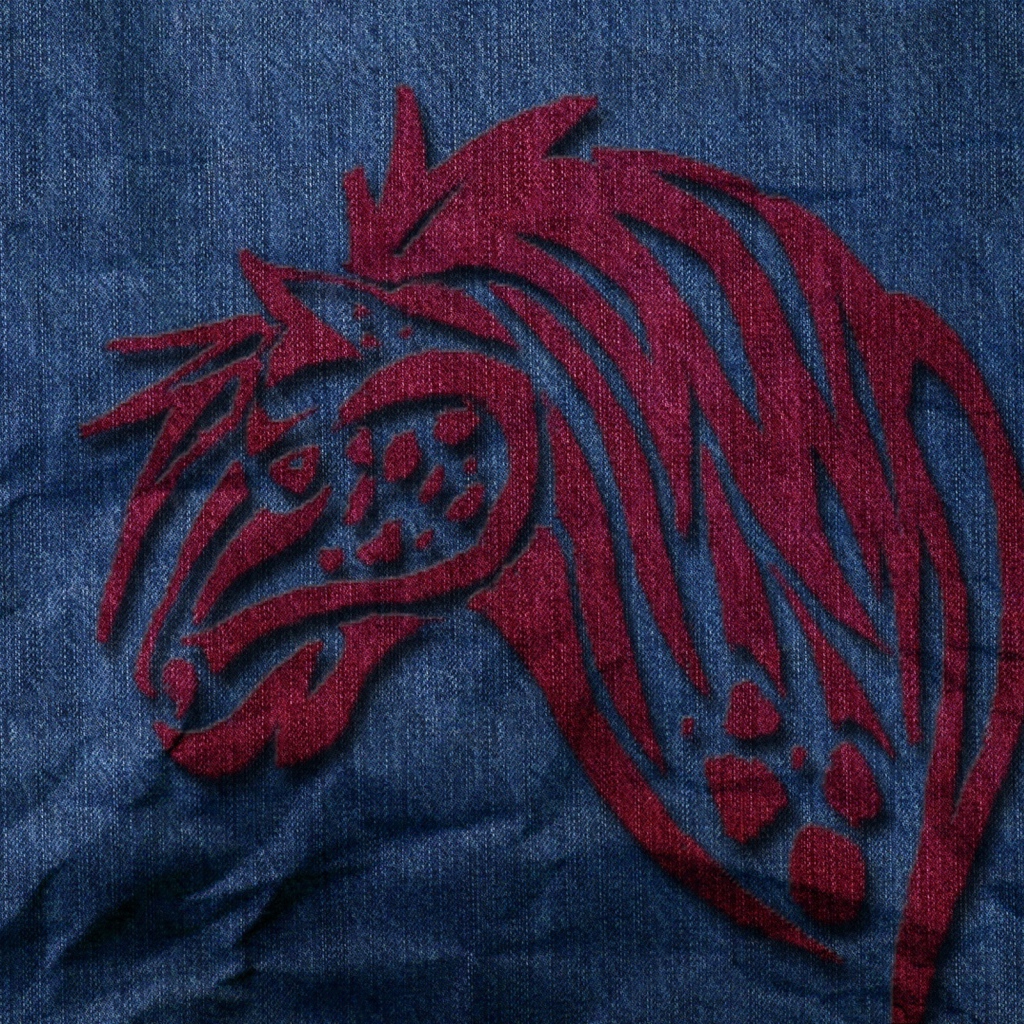 Известный бренд Levi`s