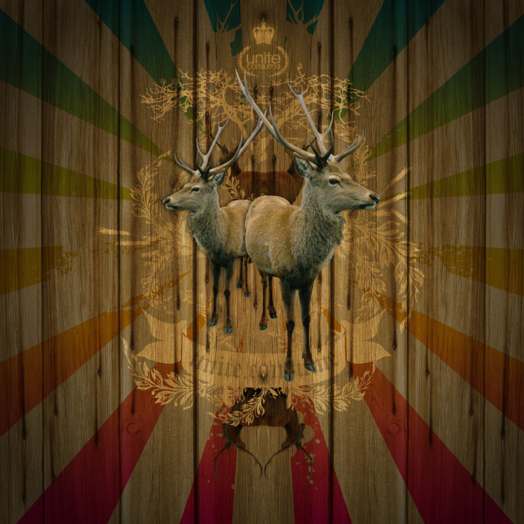 Объединение потребителей