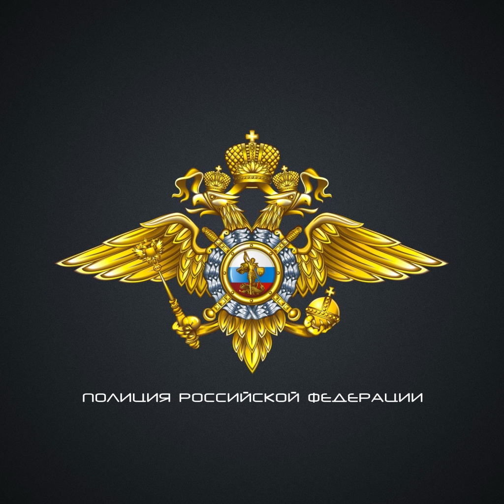 Полиция России