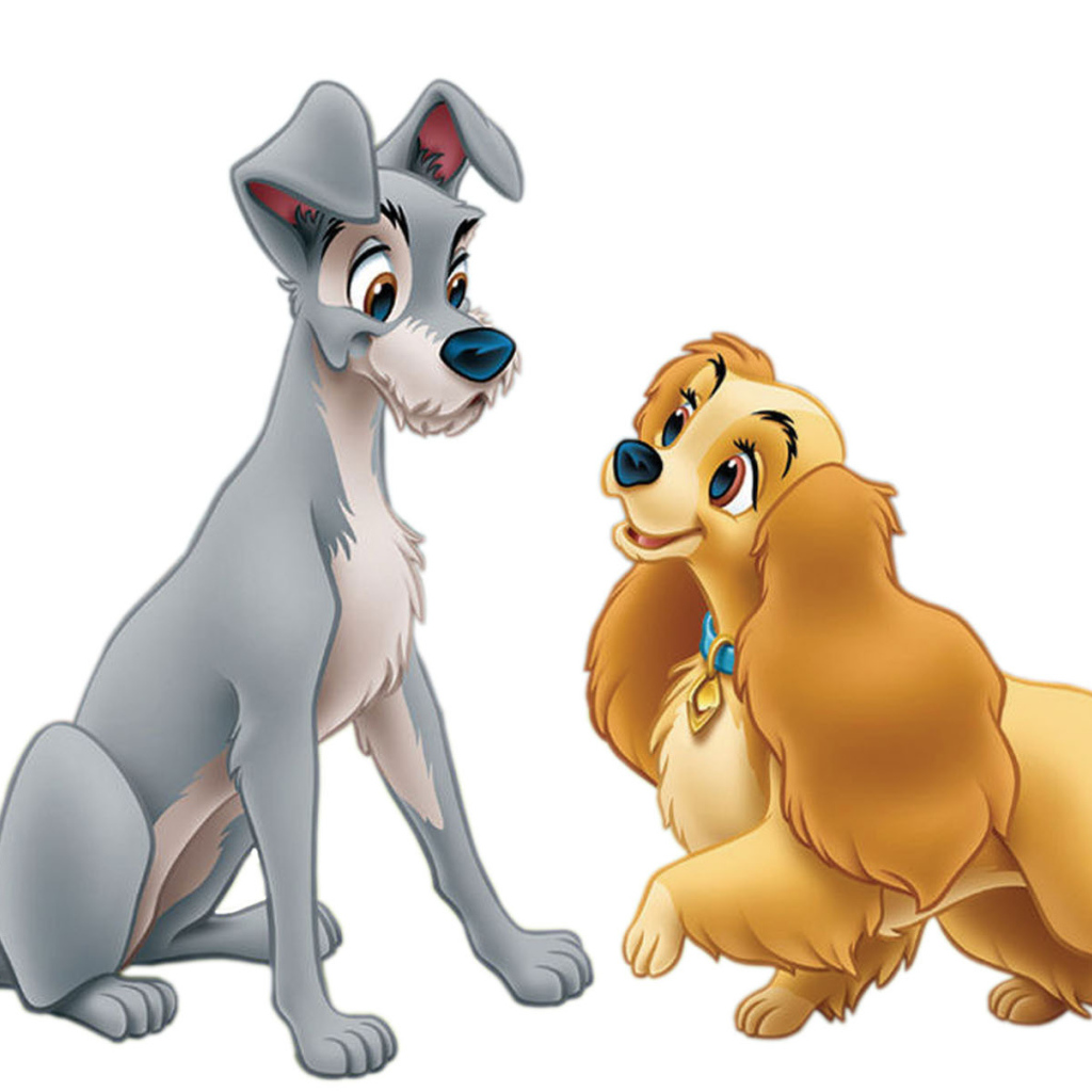 Леди и бродяга