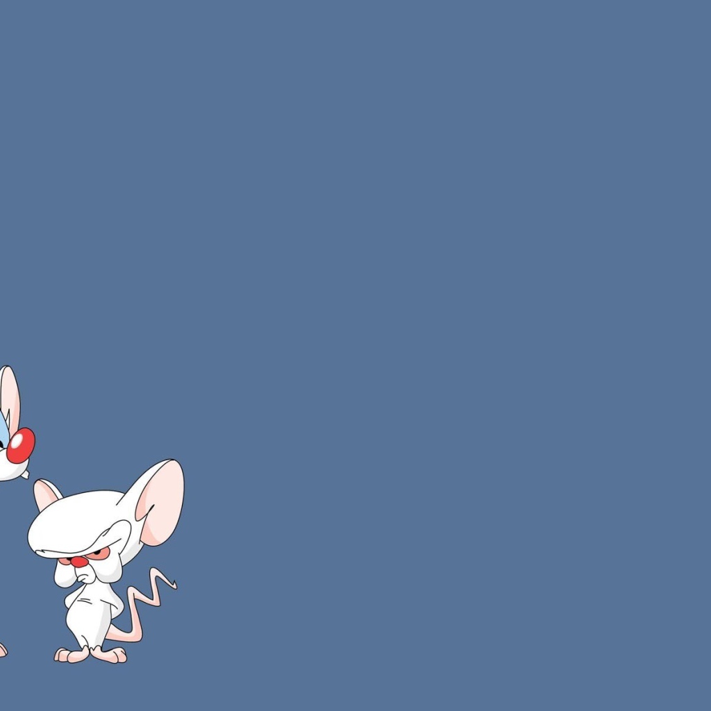 Пинки и Брайн из мультфильма