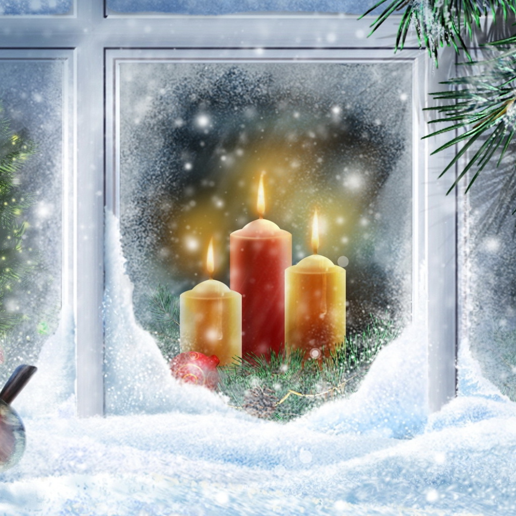 Птицы на окне в Рождество