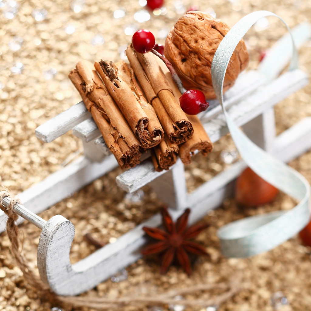 Корица на санках