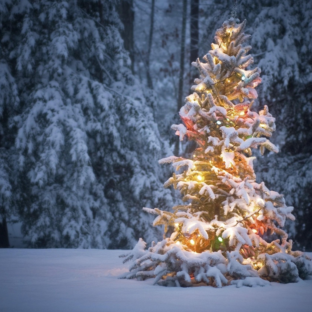 Светящеяся елка в лесу