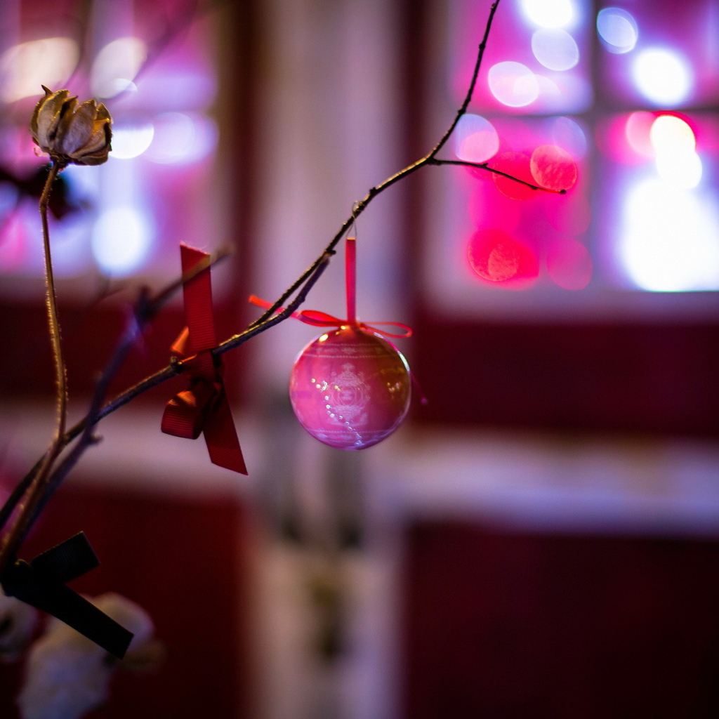 Розовая игрушка на ветке