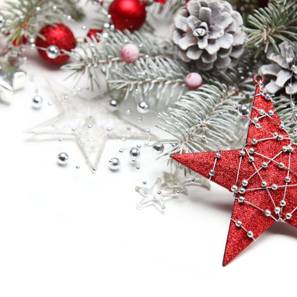 Красная звезда и шишки