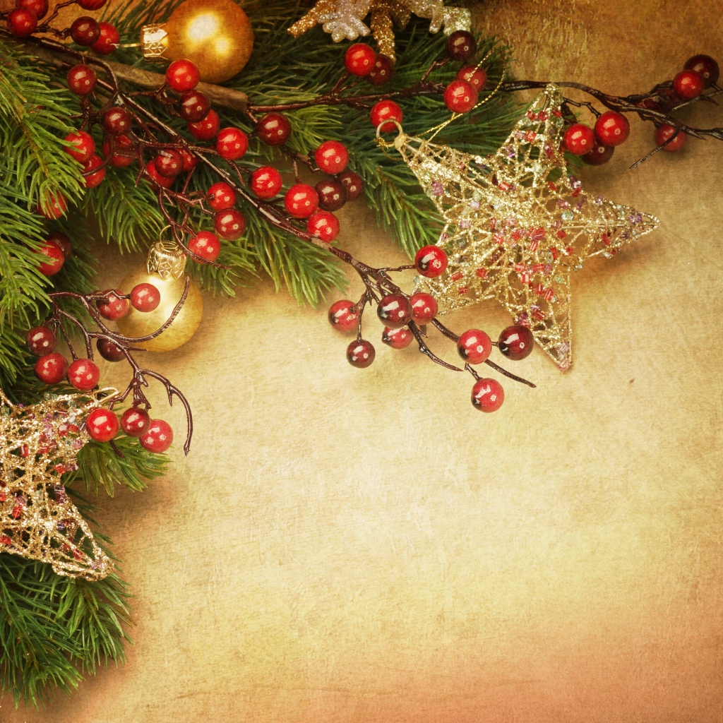 Звезды и ягоды на елке