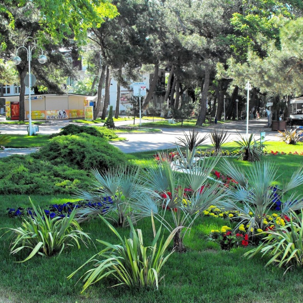 Клумба в городе