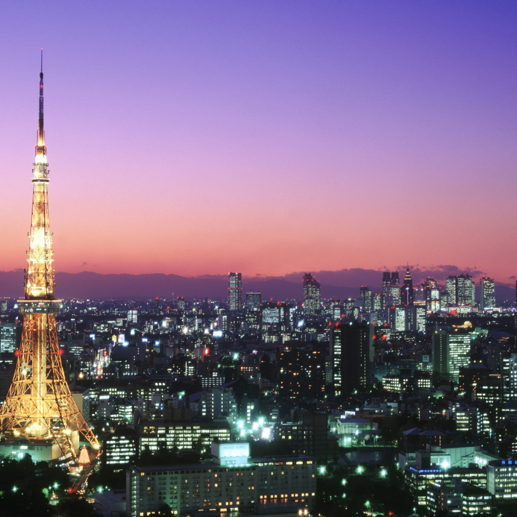 Панорама города Токио