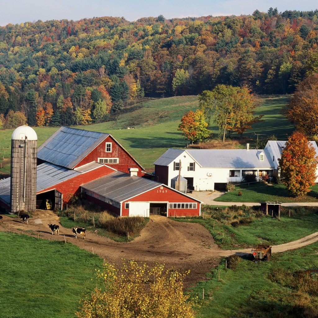 Усадьба фермера