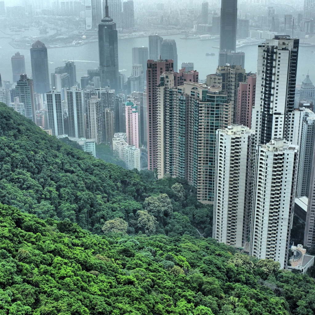 Китайский горд Хонг Конг