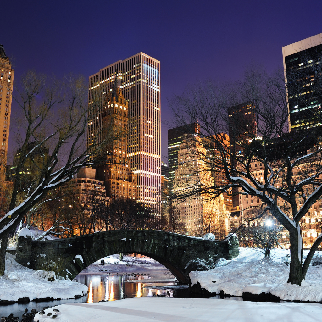 Центральный парк Нью Йорка