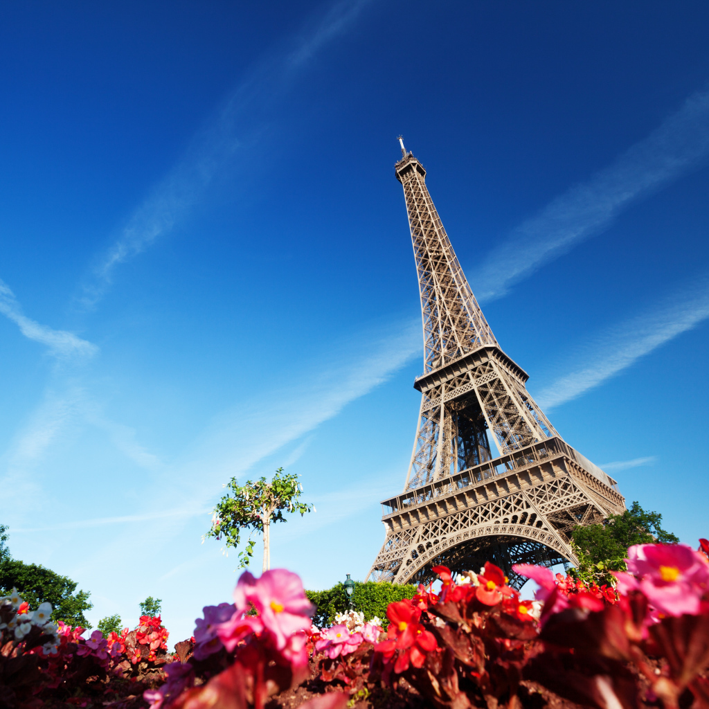 	   Flowers near the Eiffel tower