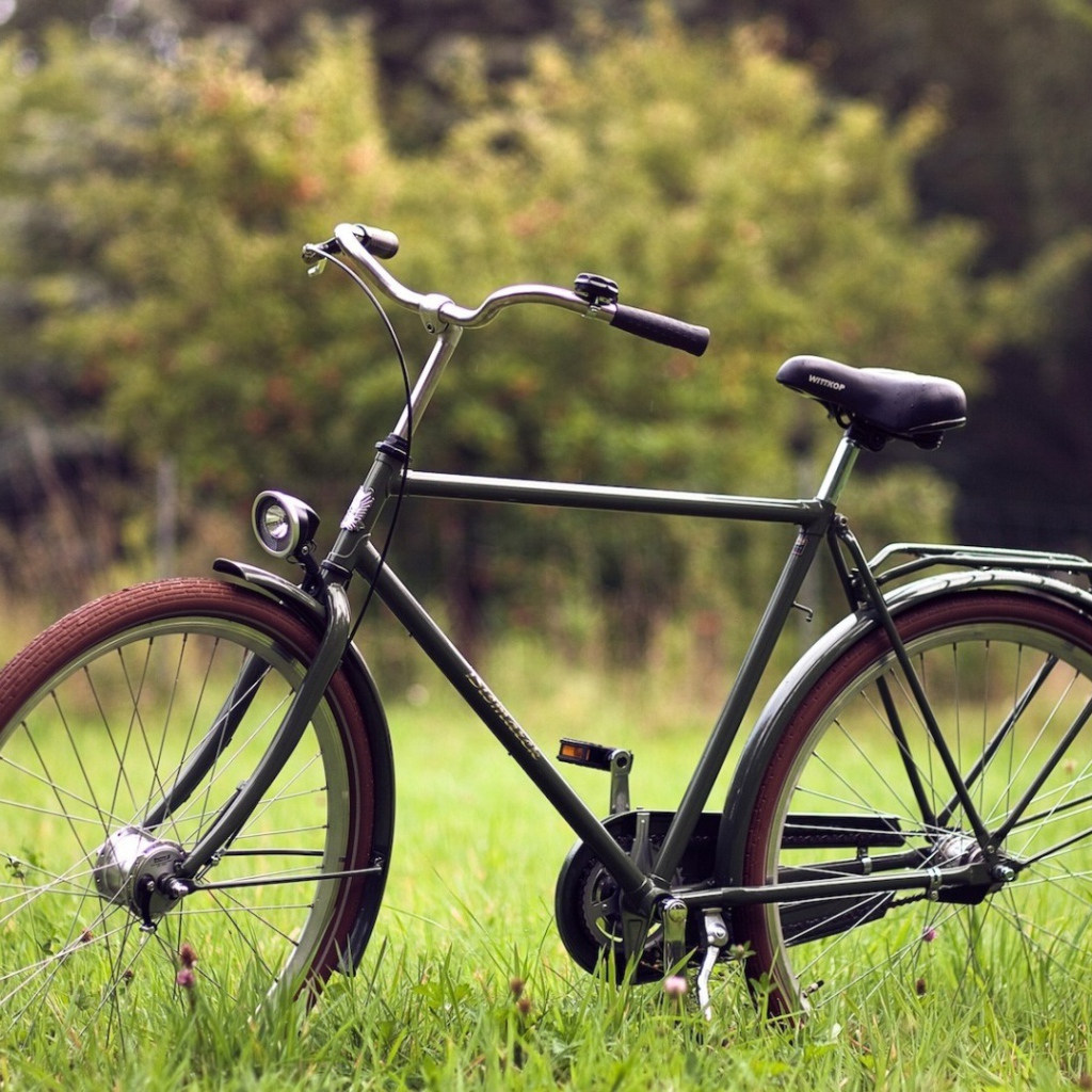 Велосипед на траве