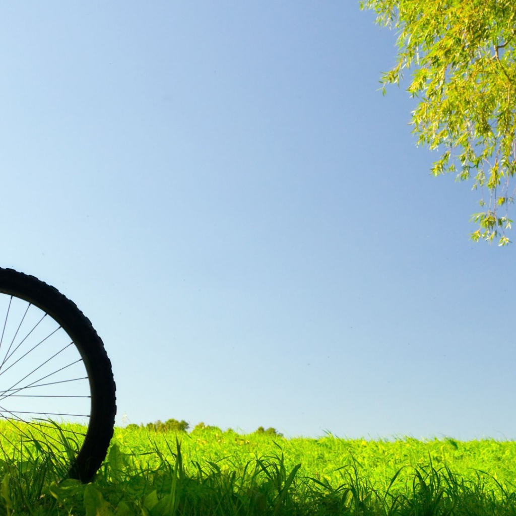 Велосипед в поле