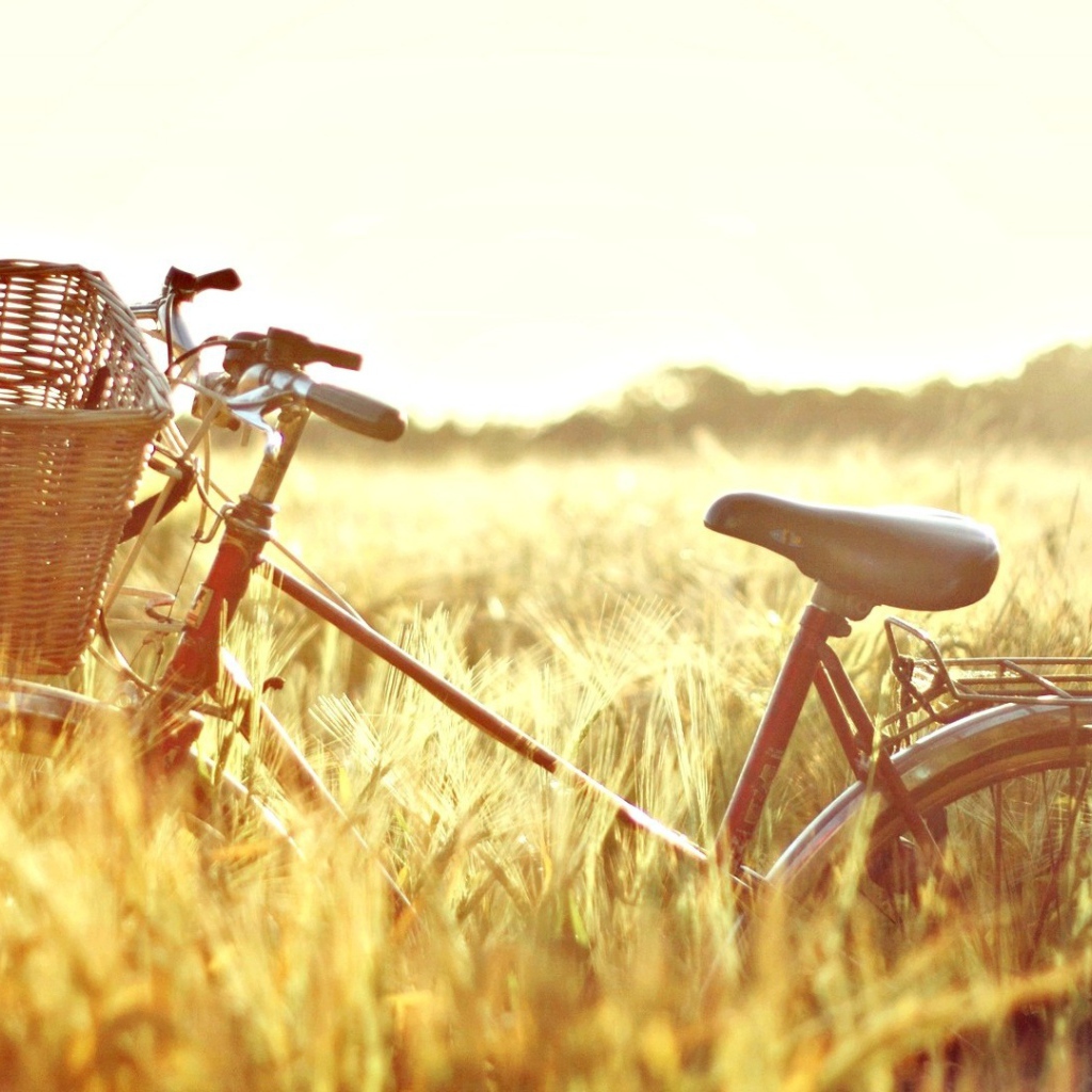 Велосипед в поле