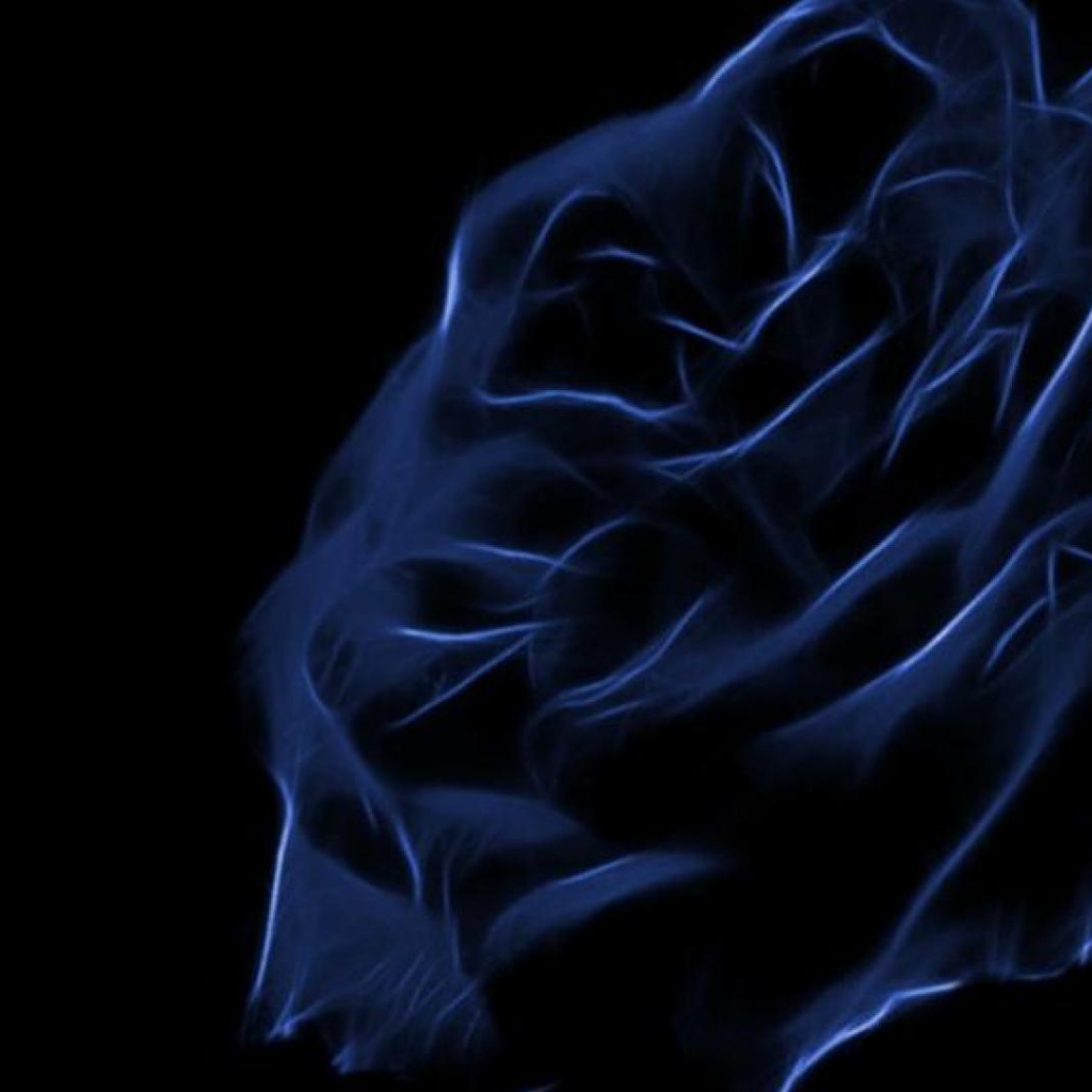 Синяя роза, креативный рисунок