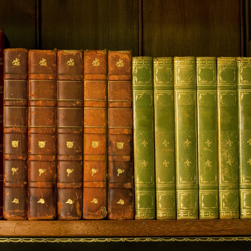 Книги на полке