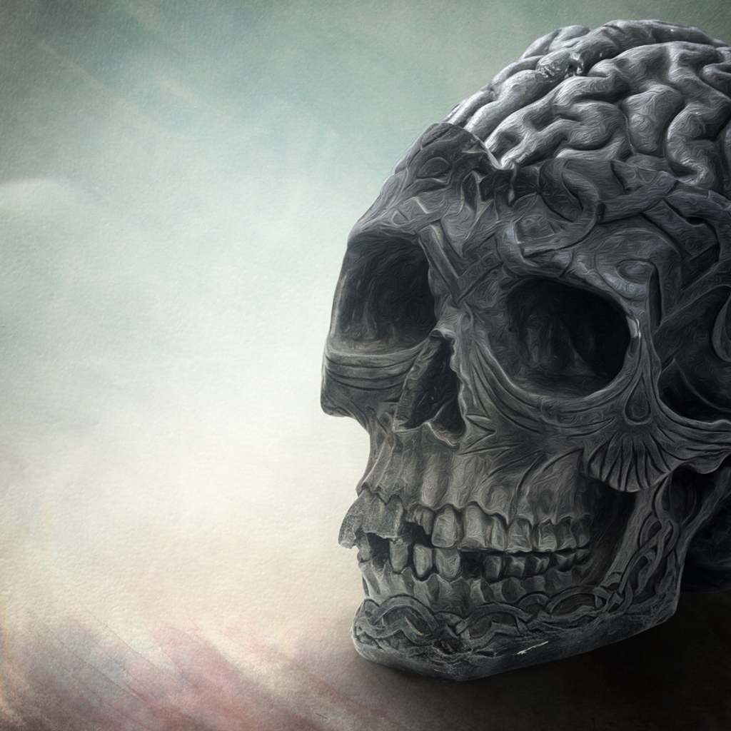 Brain skull