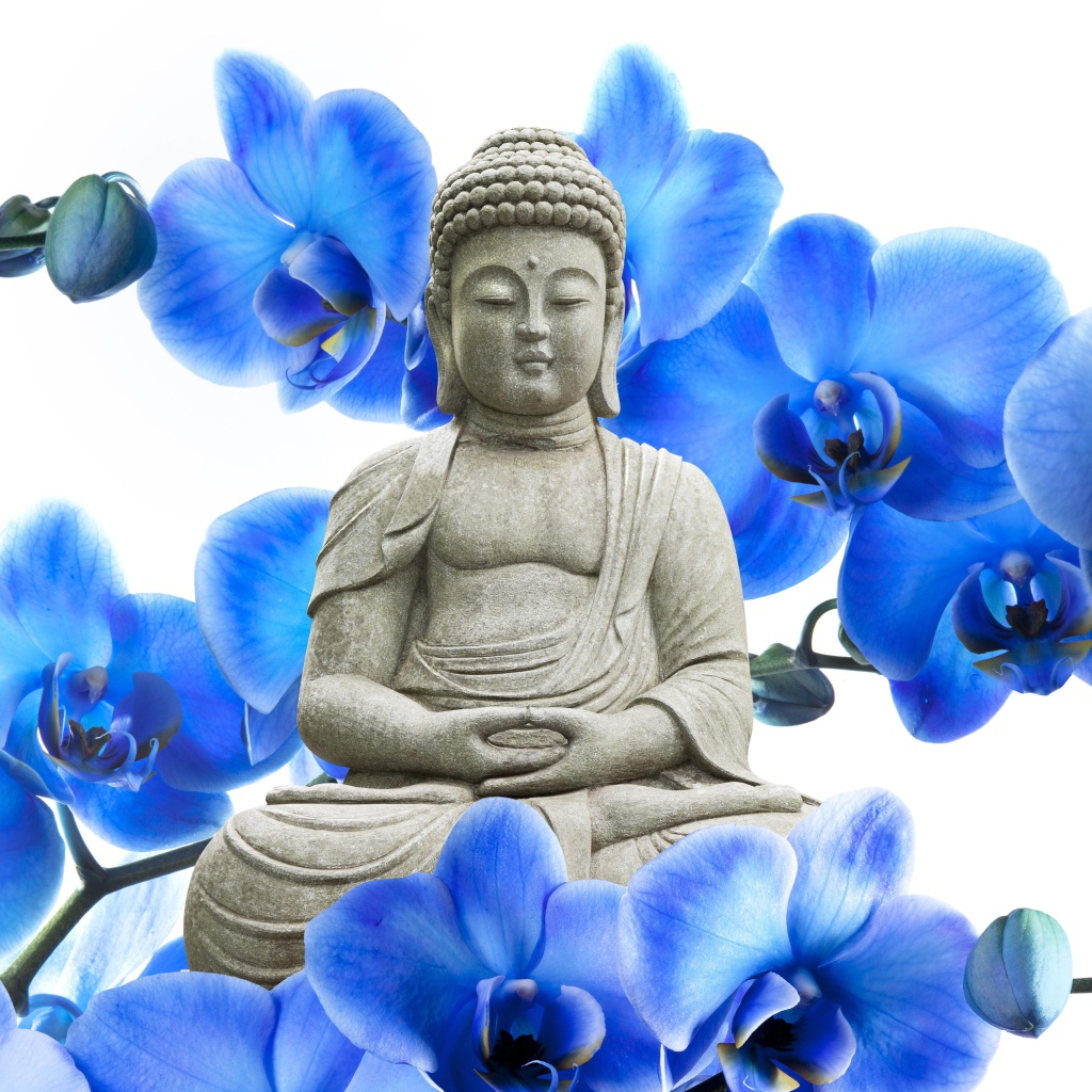 Будда на фоне цветов
