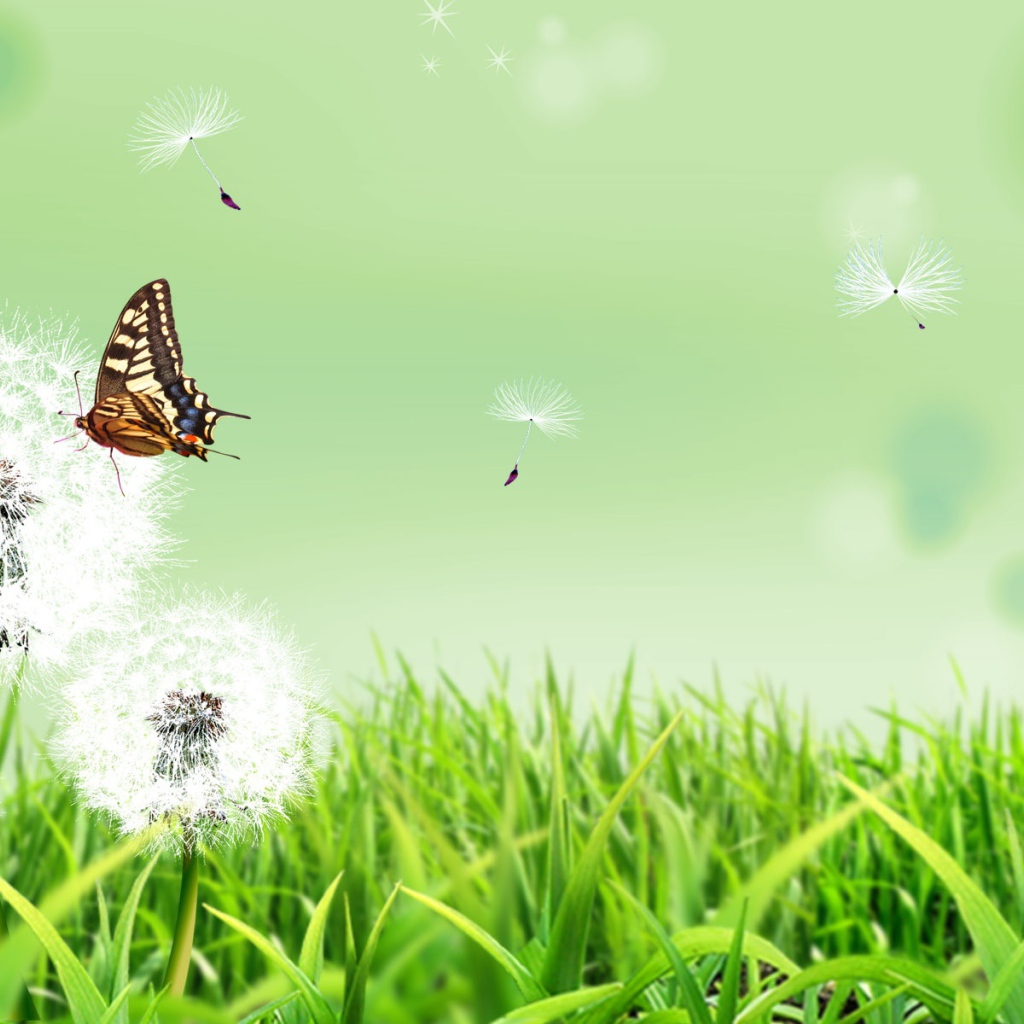 Бабочка на природе